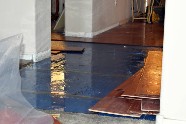 Professional Basement Water Removal technician working in Rio Vista, TX